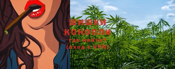 крисы Инсар