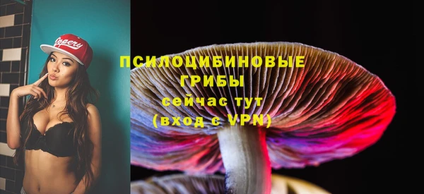 а пвп мука Инта