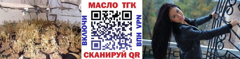 Купить закладки  Великий Устюг  ТГК вейп 